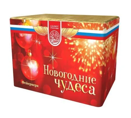 Новогодние чудеса