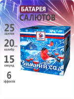 Зимний сад